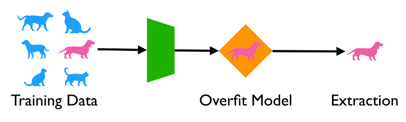 Diagram showing how an overfit model may encode specific input instances that may later be extracted